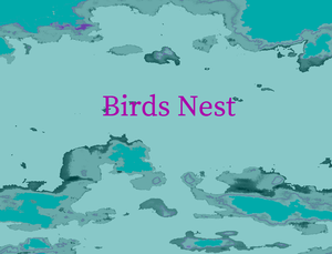 play Birds Nest