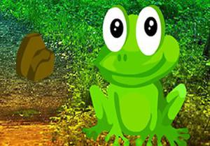 play Giant Frog Forest Escape