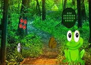 play Giant Frog Forest Escape