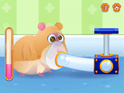 play Pet Rescue