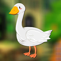 play Pekin Duck Escape