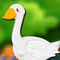 play Pekin Duck Escape