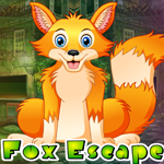 Sitting Fox Escape