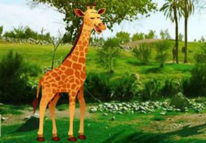 play Wild Animals Zoo Escape