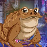 play Brown Frog Escape