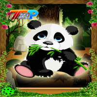 play Top10 Rescue The Panda