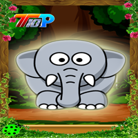play Top10 Rescue The Little Elephant