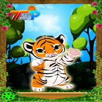 play Top10 Rescue The Little Tiger