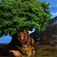 play Mirchigames Wild Fort Escape