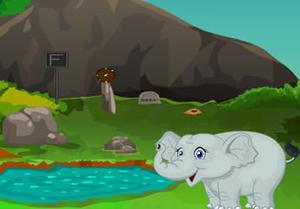 play African Zebra Rescue