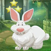 play Old Age Rabbit Escape