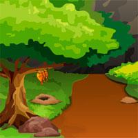 play G4E African Zebra Rescue