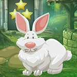 play Old Age Rabbit Escape