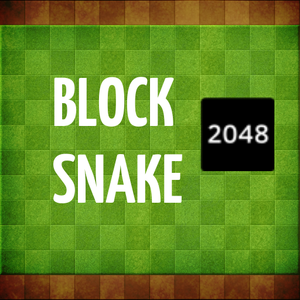 play Blocksnake 2048