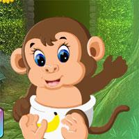 play Rescue The Baby Monkey