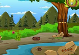 play Rescue The Cheetah