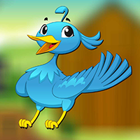 play Pet Bird Escape