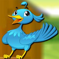 play Avmgames Pet Bird Escape