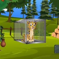 play Top10Newgames Rescue The Cheetah