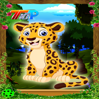 play Rescue The Cheetah