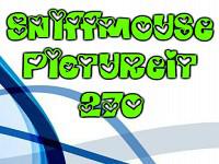 play Pictureit 270
