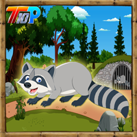 play Top10 Rescue The Raccoon