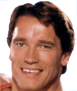 play Arnold And The Quest To Become Governor Of California
