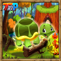 play Top10 Rescue The Turtle