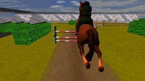 play Jumping Horse 3D