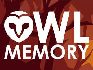 Owl Memory