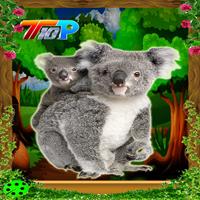 play Top10 Rescue The Koala