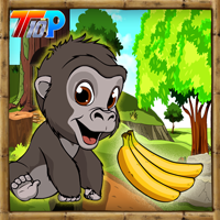 play Top10 Rescue The Gorilla