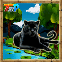 play Top10 Rescue The Black Cheetah