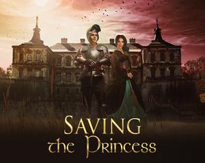 play Saving The Princess 1