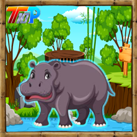 play Top10 Rescue The Hippopotamus