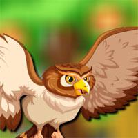 play Flying Owl Escape