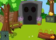 play Flying Owl Escape