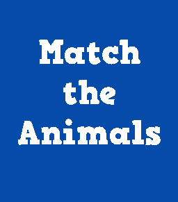 Match The Animals