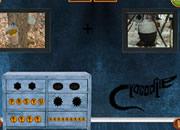 play Hatchling Escape