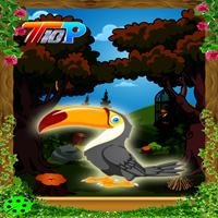 play Top10 Rescue The Toucan