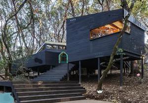 Architecture Forest House Rescue