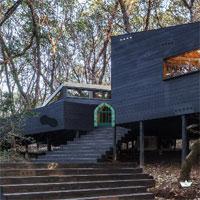 Architecture Forest House Rescue