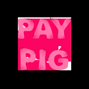 play Pay Pig