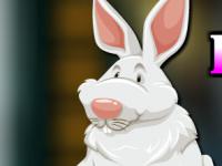 play Fluffy Rabbit Escape