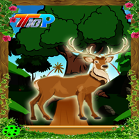 play Top10 Rescue The Deer