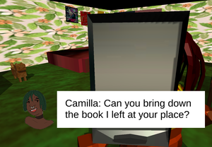 Camilla'S Notebook