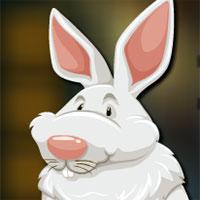 play Fluffy Rabbit Escape