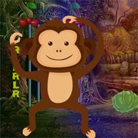 play Games4King Little Monkey Escape