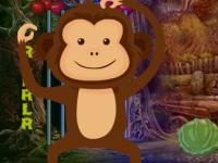 play Little Monkey Escape