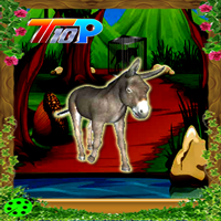 play Top10 Rescue The Donkey